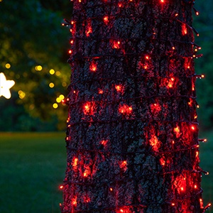 SoftTwinkle LED String Lights