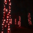 StretchNet Pro 20" x 45" Tree Wrap Lights, 5mm LED, 50 Red Lights, Brown Wire