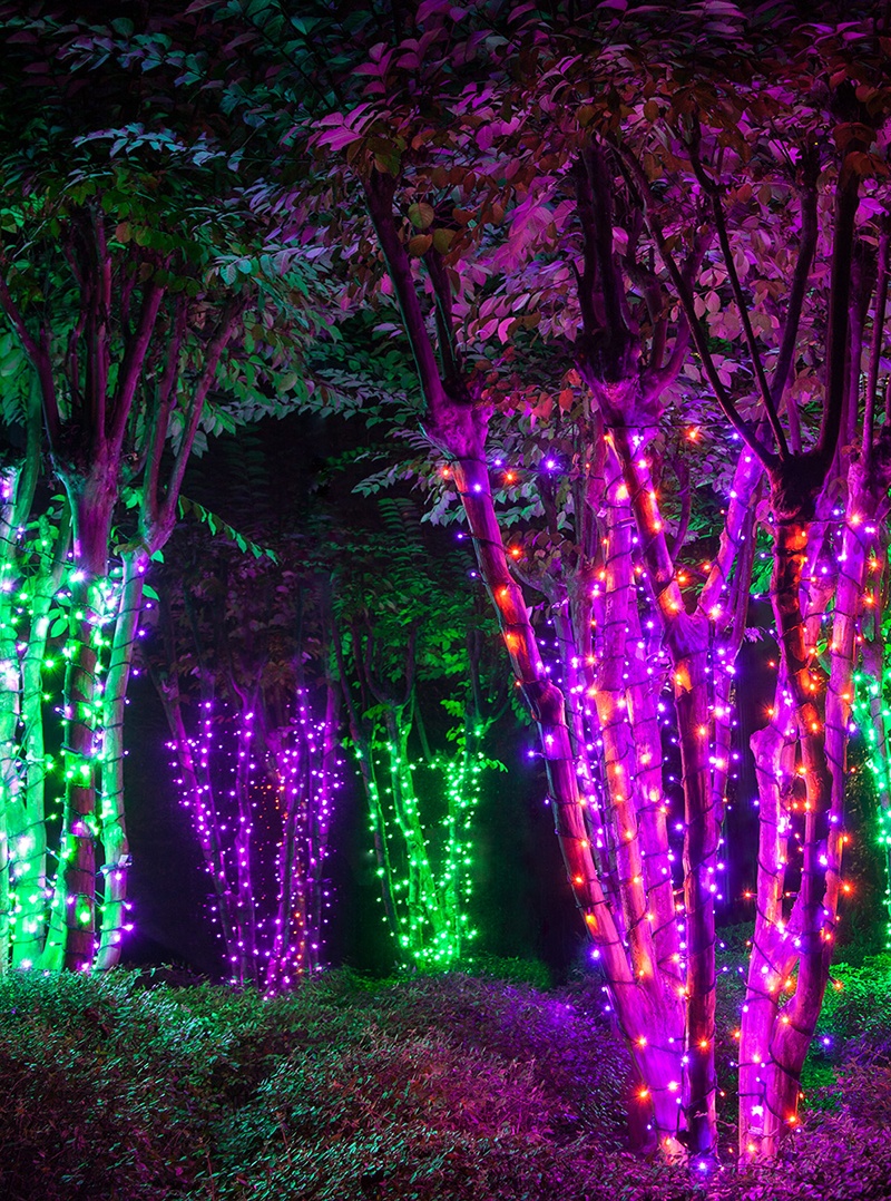 Halloween Light Wrapped Trees