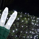 M5 Cool White LED Net Lights, Green Wire