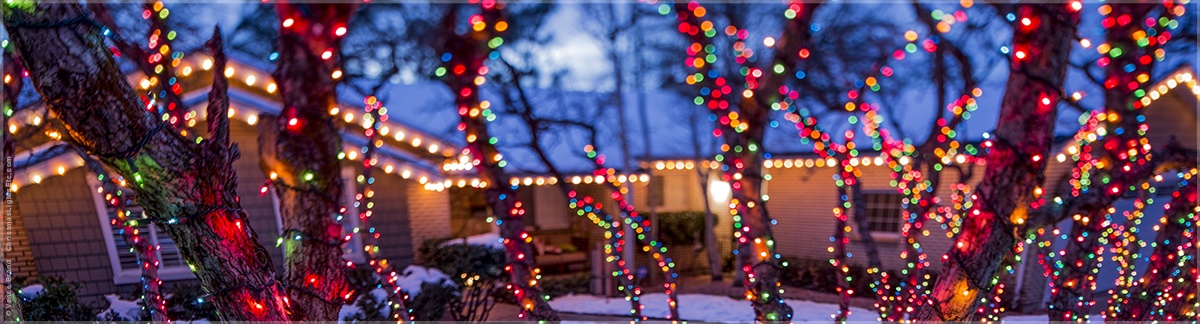 Multicolor Christmas Lights