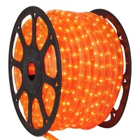 Orange Rope Light