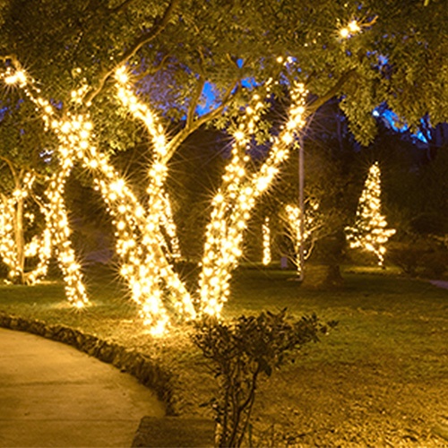 White Wire Christmas Mini Lights Durable
