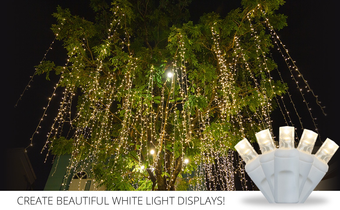 Outdoor White Light Display