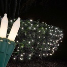 White Frost Net Lights, Green Wire