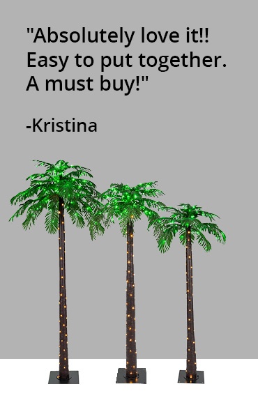 Palm Tree Testimonial
