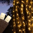 2' x 6' LED Trunk Wrap Lights - 100 Warm White Lamps - Brown Wire