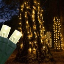 5mm Warm White LED Tree Wrap Lights, Green Wire