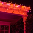 150 Purple / Orange Halloween Icicle Lights - Black Wire