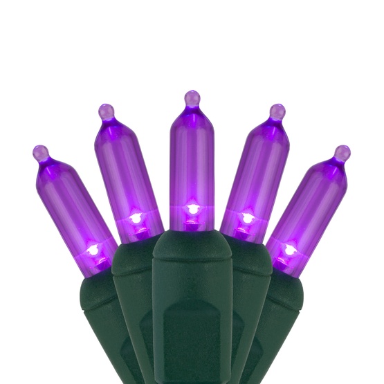 50 T5 Purple LED Christmas Tree Lights, 6" Spacing