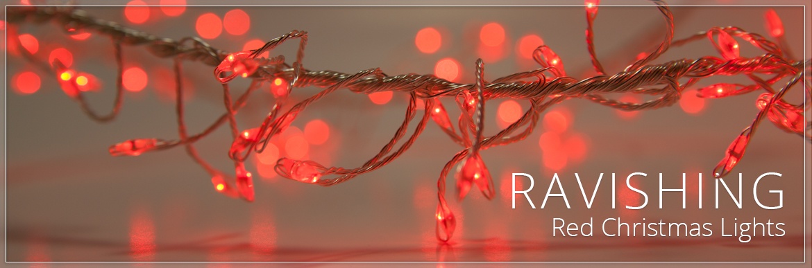 Red Christmas Lights