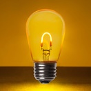 S14 Gold Glass FlexFilament&reg LED Edison Bulb, Transparent