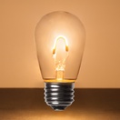 S14 Warm White Glass FlexFilament&reg LED Edison Bulb, Transparent