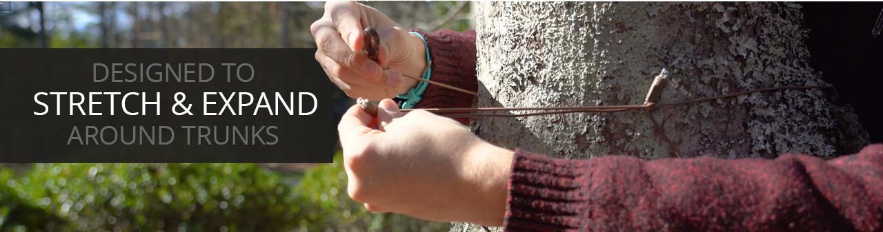 Person clipping StretchNet Pro Christmas tree wrap lights onto an outdoor tree trunk, showing the stretchable net fastening system