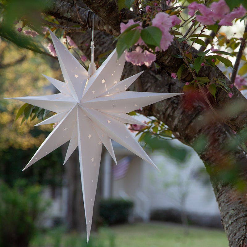 Wedding Star Lights