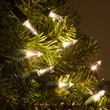 50 T5 Warm White LED Christmas Tree Lights, 4" Spacing