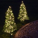 Winchester Fir Prelit Incandescent Clear Light Walkway Tree