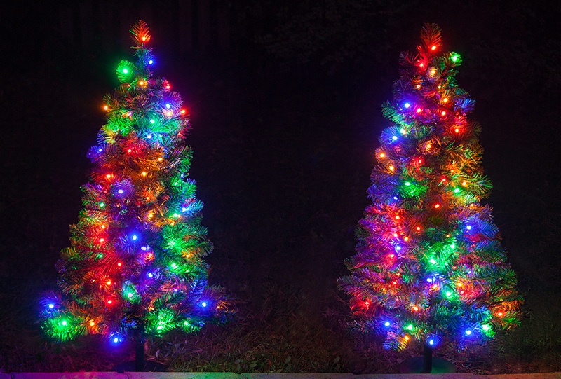 Walkway Tree Lights