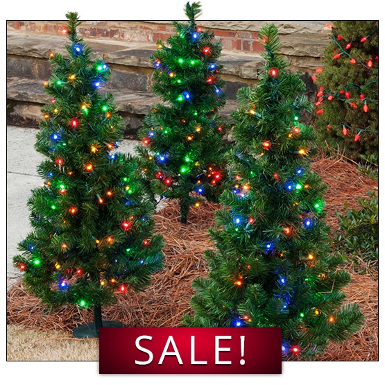 Walkway Trees for Sale