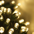 50 5mm Warm White LED Christmas Lights, 4" Spacing
