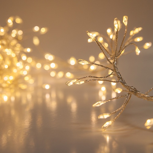 Fairy Lights