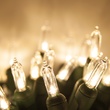 50 T5 Warm White LED Christmas Tree Lights, 4" Spacing