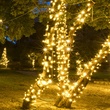 50 5mm Warm White LED Christmas Lights, 4" Spacing