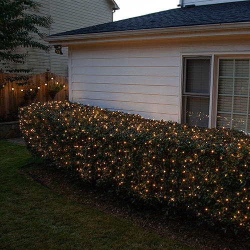 white incan net lights house