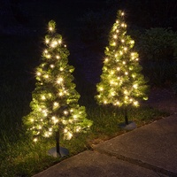 Walkway Christmas Trees