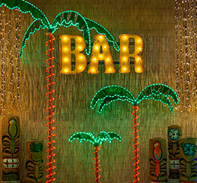 Rope Light Palm Bar