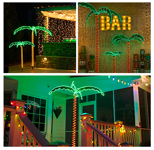 Rope Light Palm Collage